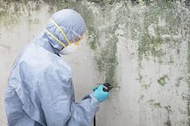 Mold Documentation for Insurance Claims in Calwa, CA